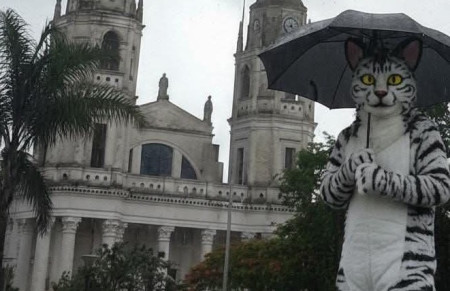 Primera convocatoria therian en Corrientes  